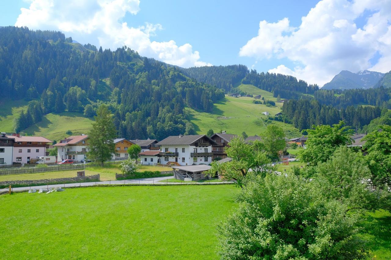 Alpin Penthouse Hollersbach Apartment Холерсбах им Пинцгау Екстериор снимка